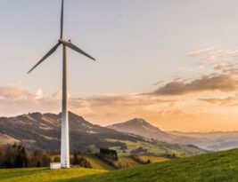 How Do Renewable Energy Projects Impact Local Ecosystems?