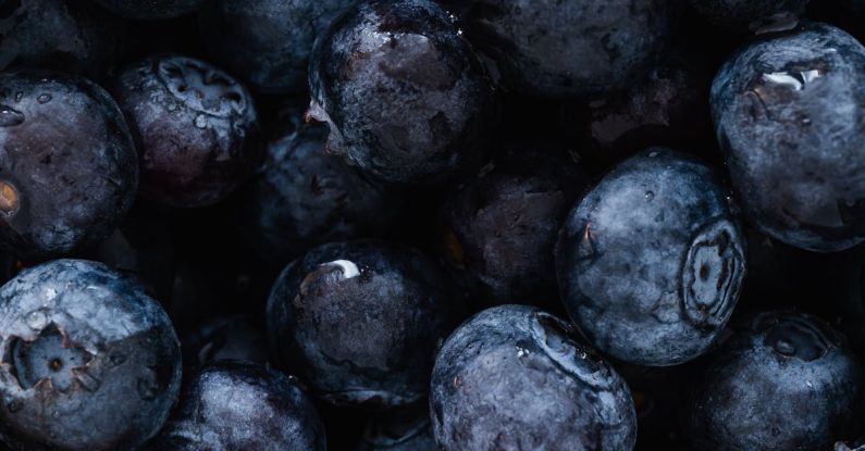 Plant-Based Diets - Top view of delicious sweet and fresh ripe blueberries placed on even surface